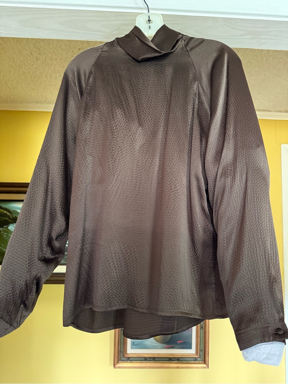 Ladies vintage Anne Klein  Brown Long-Sleeve Dress Shirt size 12